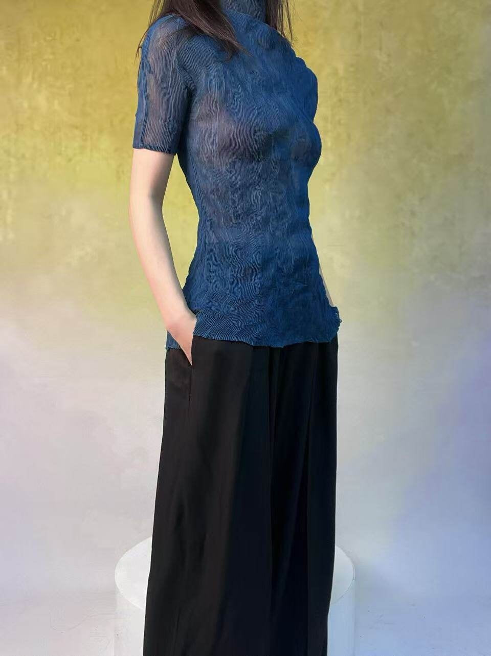 ANTIMOON_Sheer_Pleated_Willow_Stripe_Five_Tone_Women's_Polyester_Short_Sleeve_T-shirts_958265766242_MISSTT