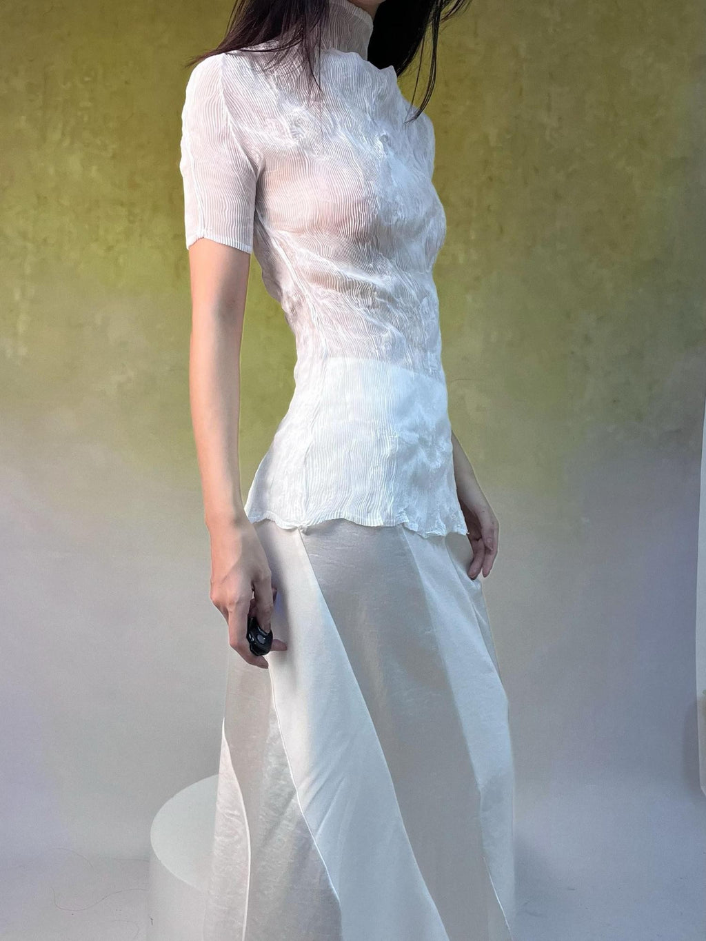 ANTIMOON Sheer Pleated Willow Stripe Five Tone Women's Polyester Short Sleeve T-shirts