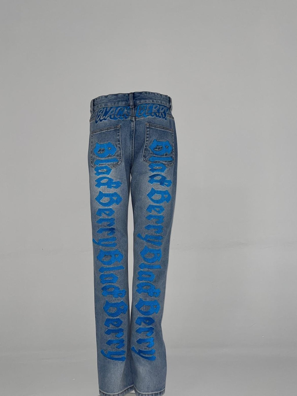 BlackBerry Washed Blue Heavy Embroidered Stacked Women's Denim Straight-leg Jeans