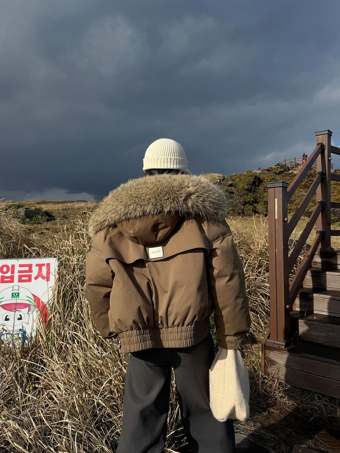 Fanptntox Brown Detachable Hood Large Fur Collar Women's White Duck Down Down Jackets