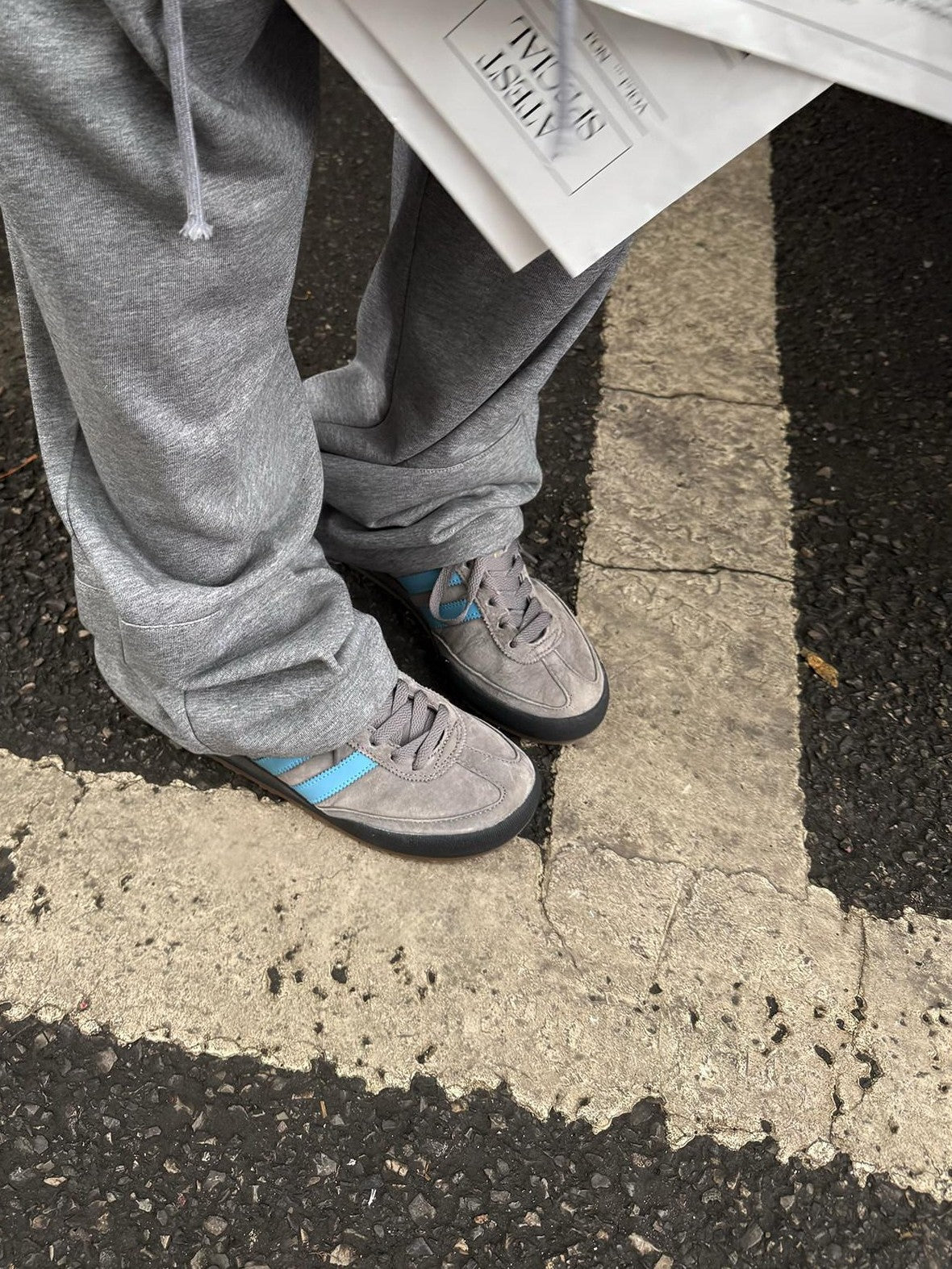 Fanptntox Gray Wide Leg Low Rise Loose Street Style Women's Other Fabric Sweatpants