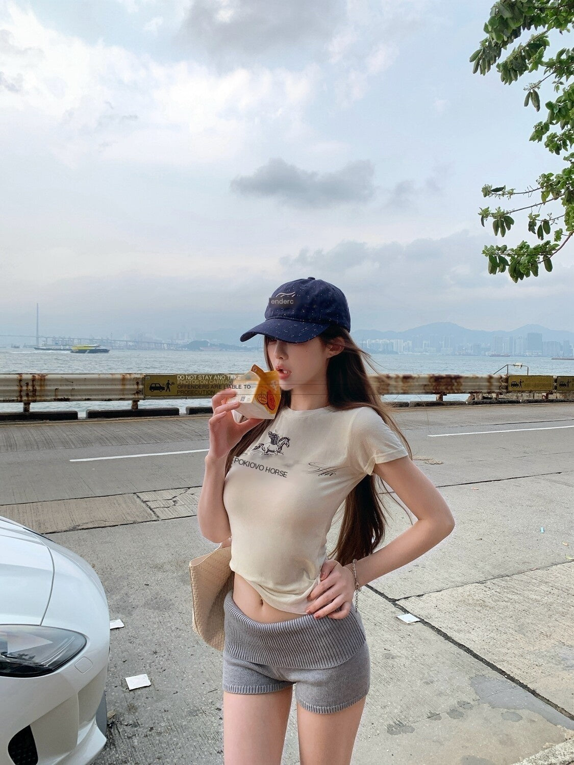 PoopyLii_Pink_Peach_Pegasus_Vintage_Slim_Fit_Cropped_Short_Sleeve_Women's_Crop_Tops_1041984460064_MISSTT