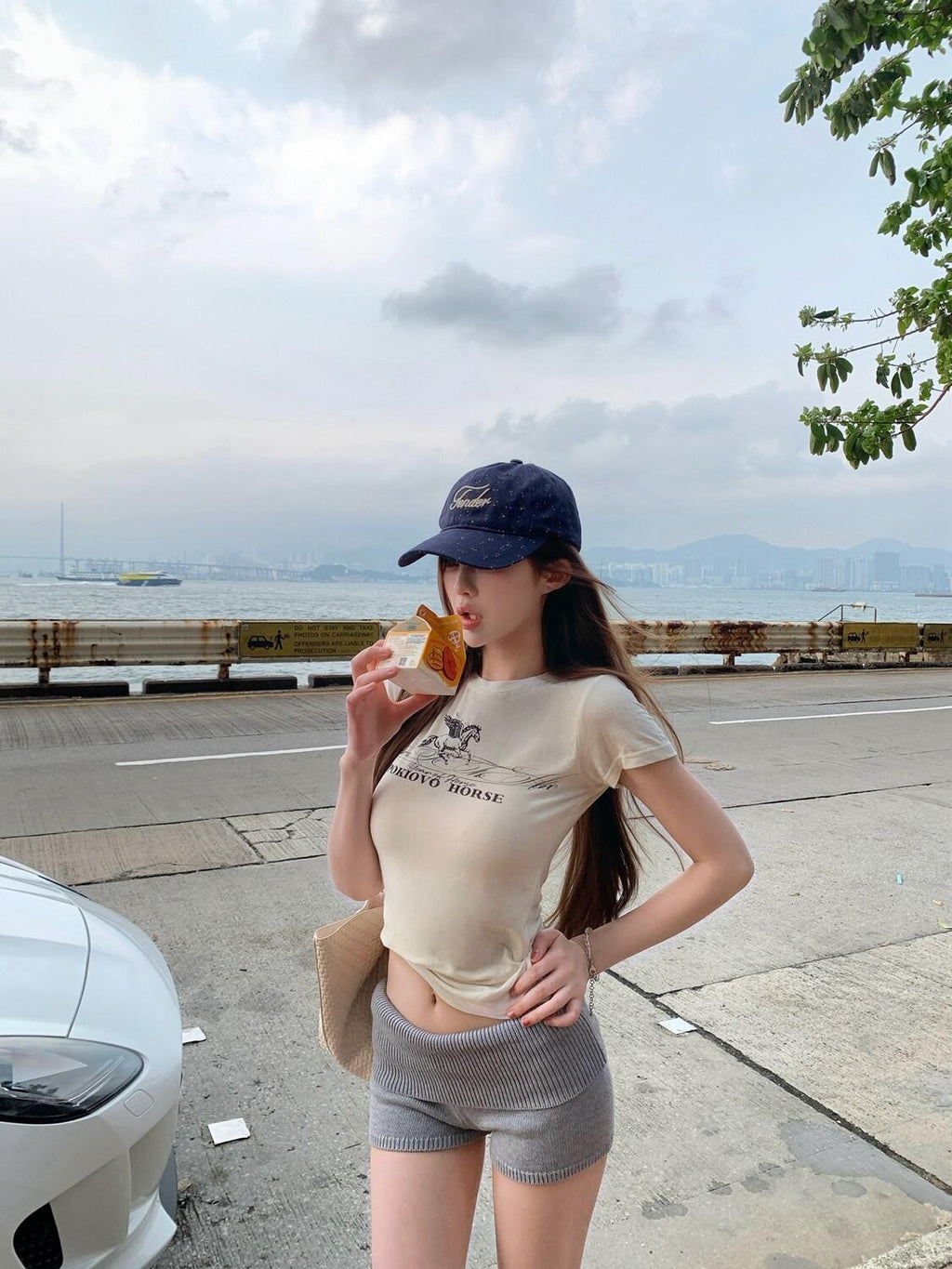 PoopyLii Pink Peach Pegasus Vintage Slim Fit Cropped Short Sleeve Women's Crop Tops