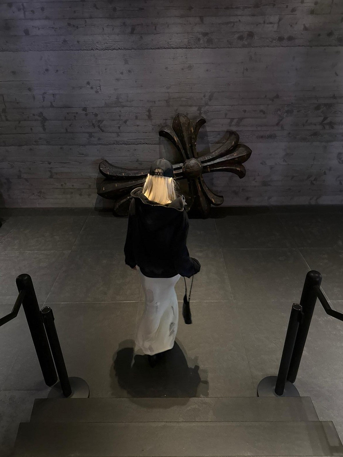 Rase le sol American Vintage Washed Distressed Shadow Strays Graphic Women's Zip-up Hoodies