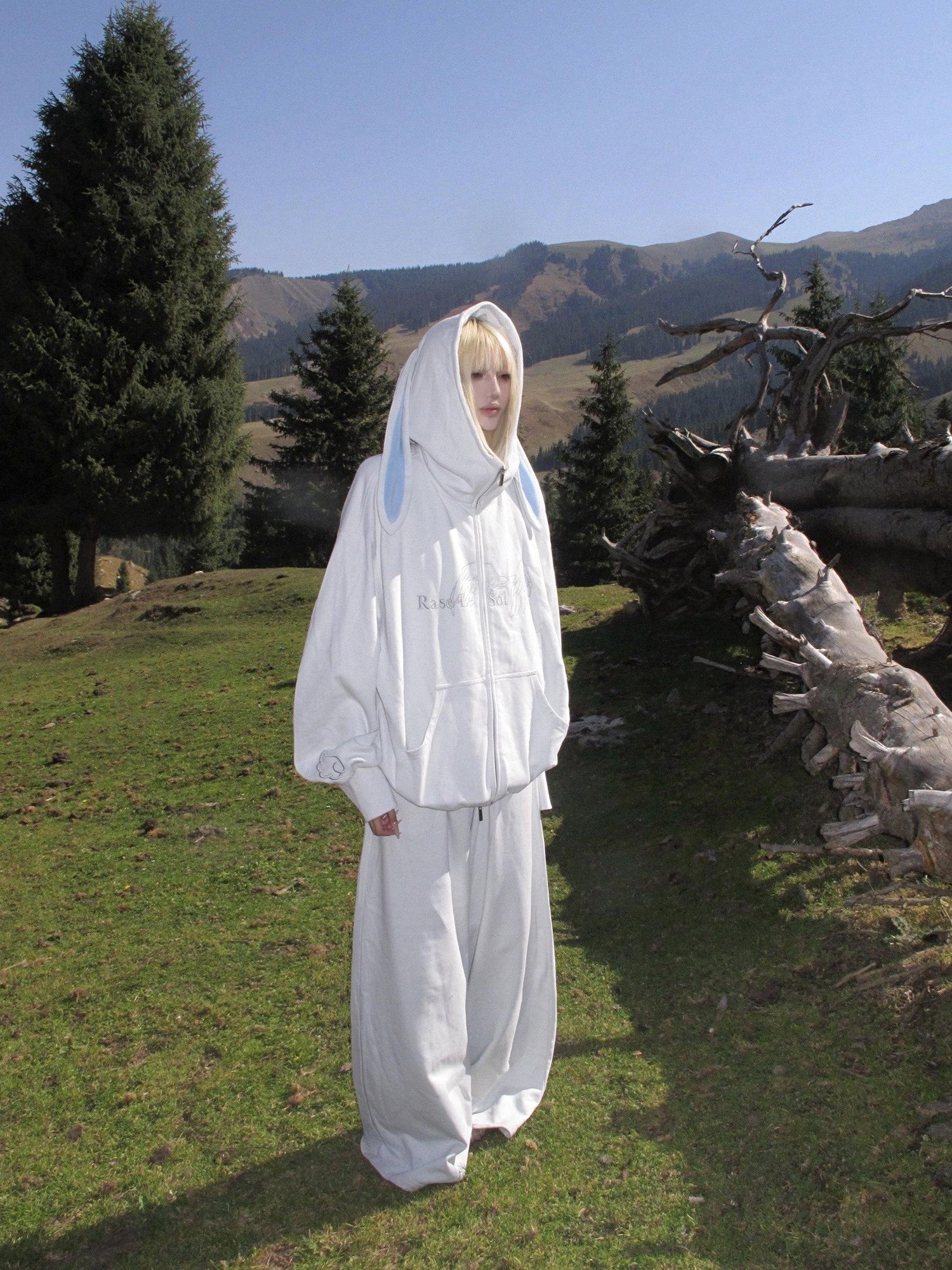 Rase le sol Bunny Ear Hooded Sweatshirt Wide Leg Loose Women's Tracksuit Sets