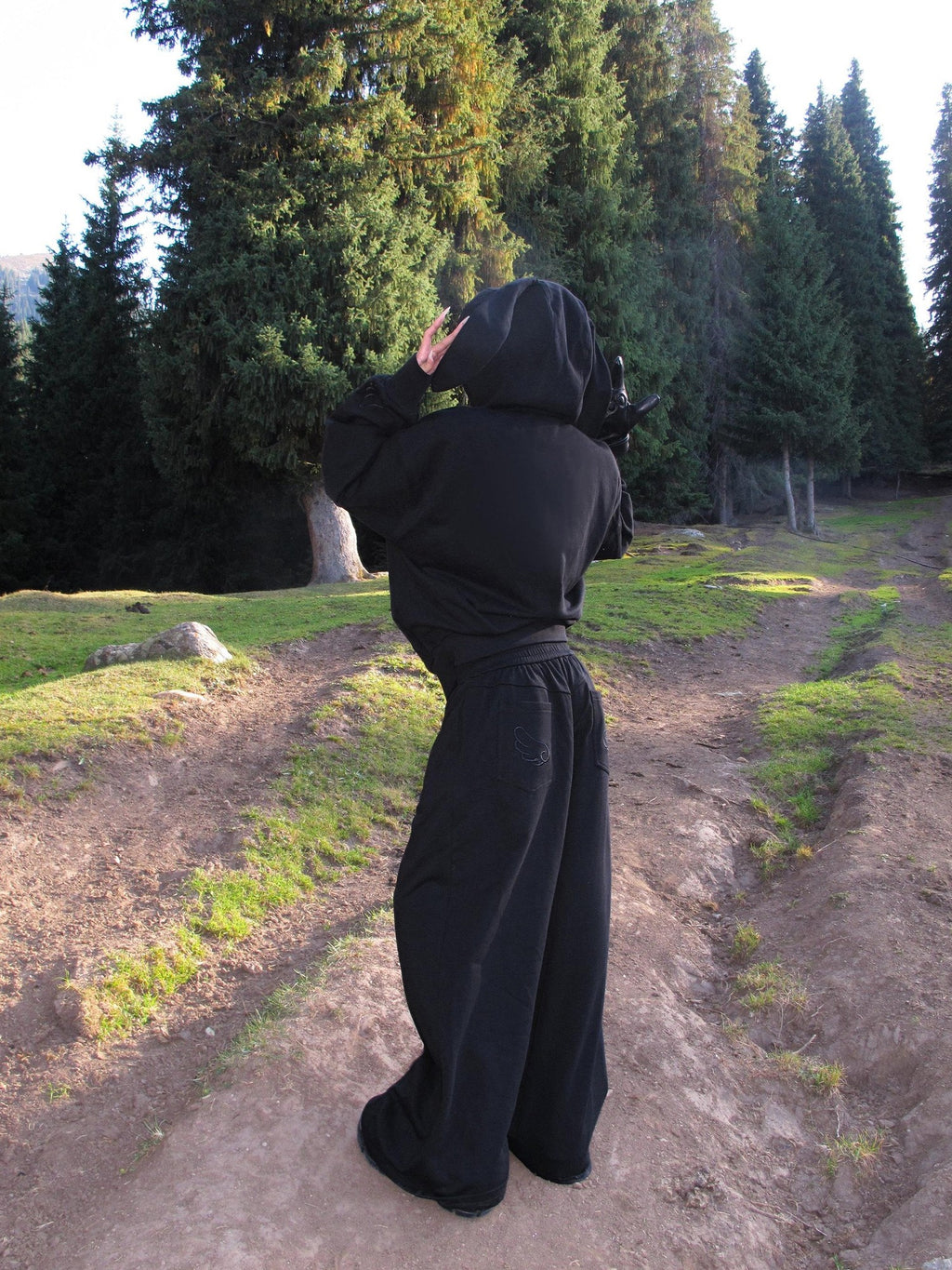 Rase le sol Bunny Ear Hooded Sweatshirt Wide Leg Loose Women's Tracksuit Sets