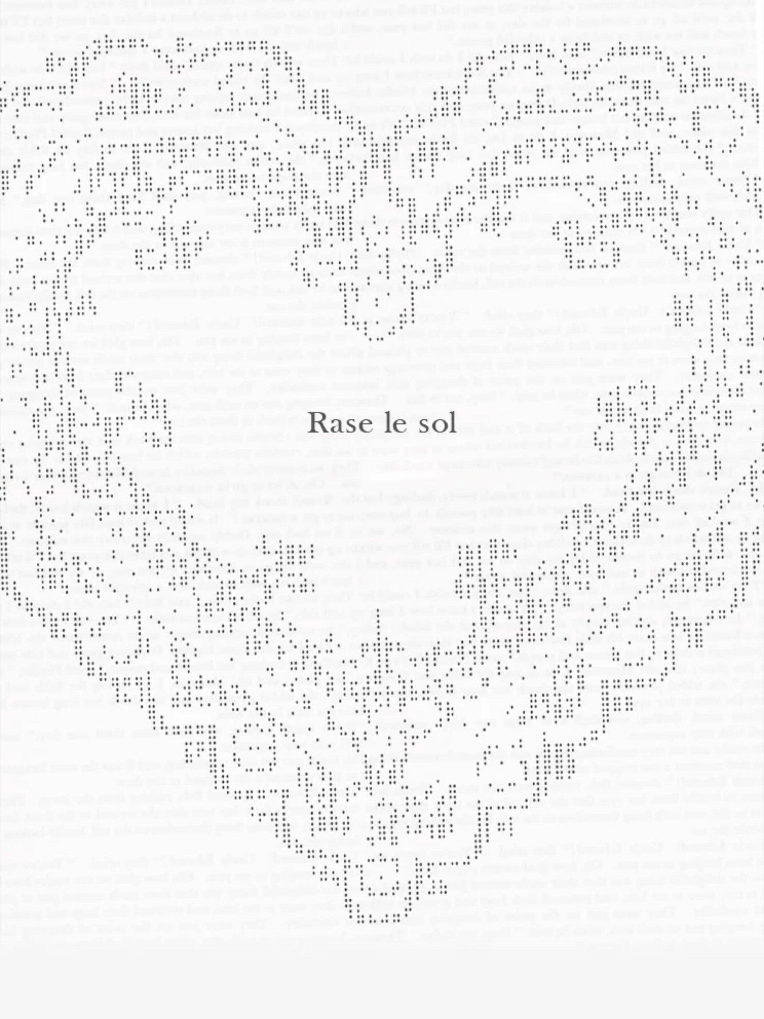 Rase le sol Cloud Dream Catcher Lace Panel Slim Fit Women's Long Sleeve T-shirts