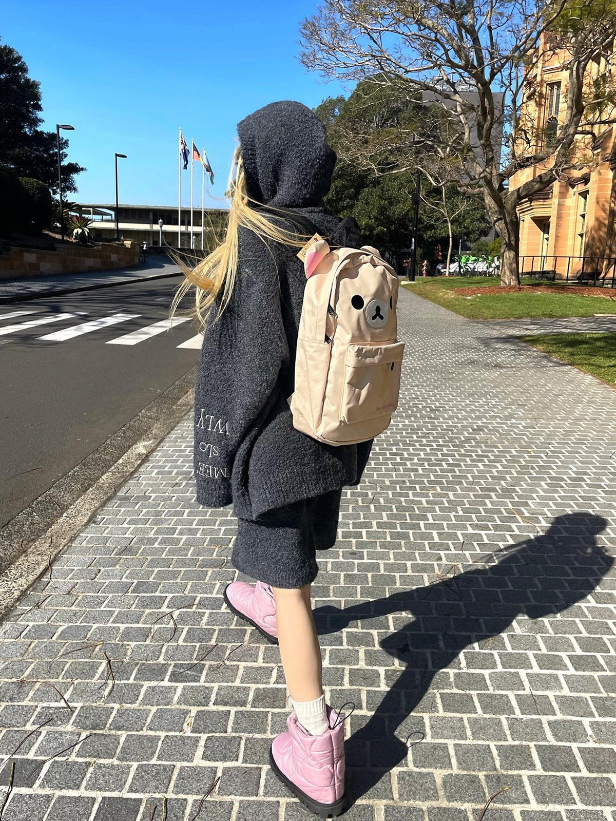 Rase le sol Loop Yarn Embroidered Knit Hooded Women's Casual Top & Shorts Sets