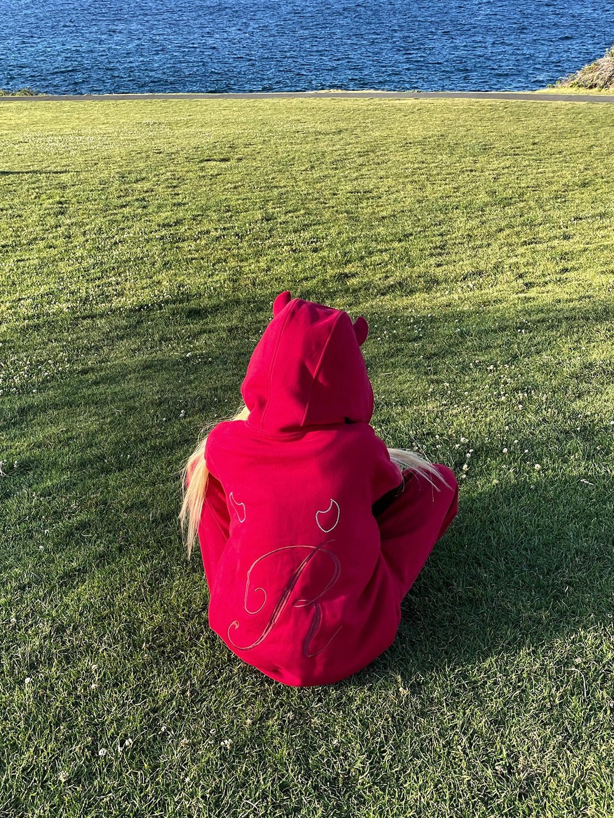 Rase le sol Red Devil Horn Rhinestone Embroidered Letter Hooded Women's Cotton Tracksuit Sets