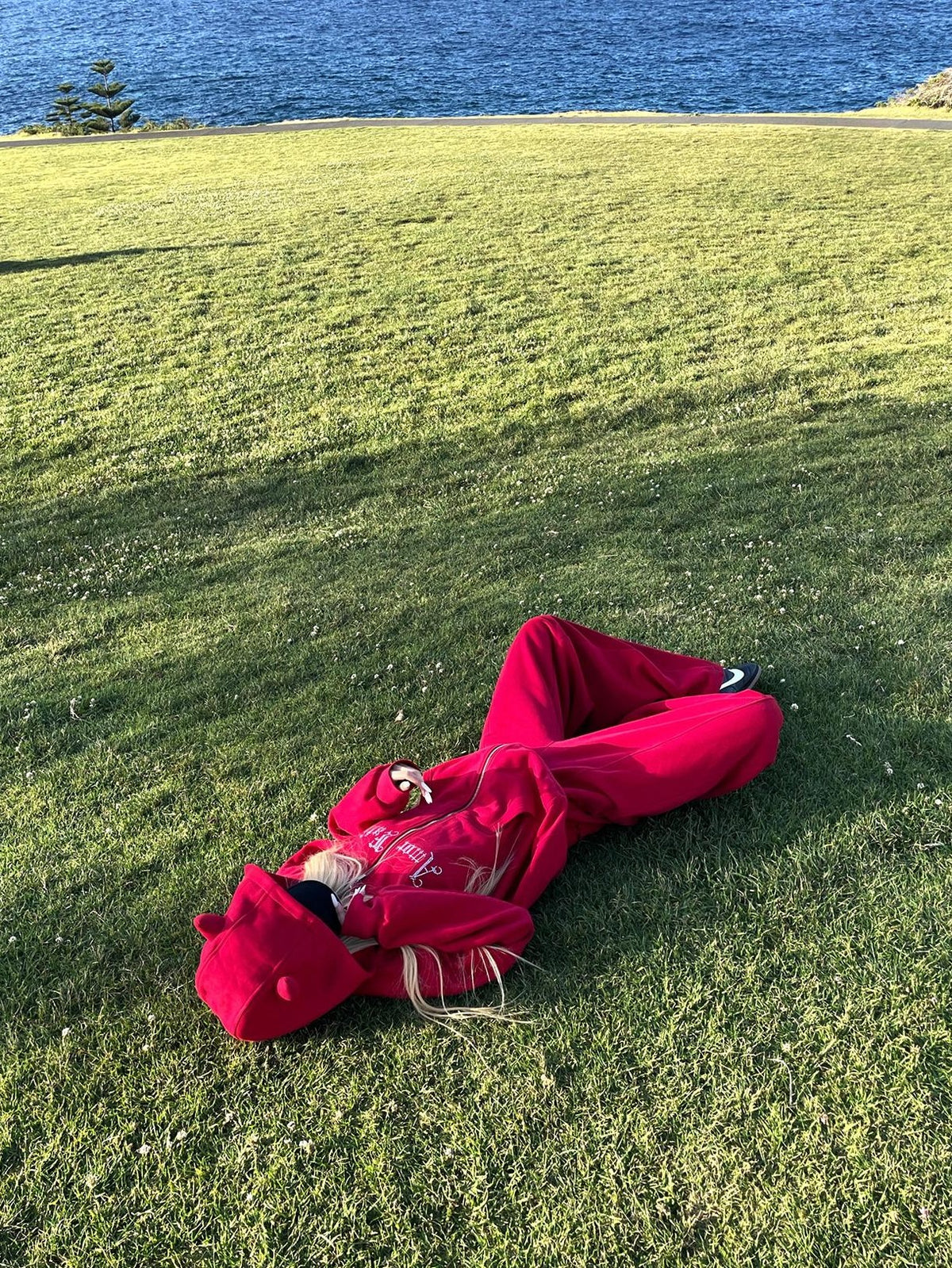 Rase le sol Red Devil Horn Rhinestone Embroidered Letter Hooded Women's Cotton Tracksuit Sets
