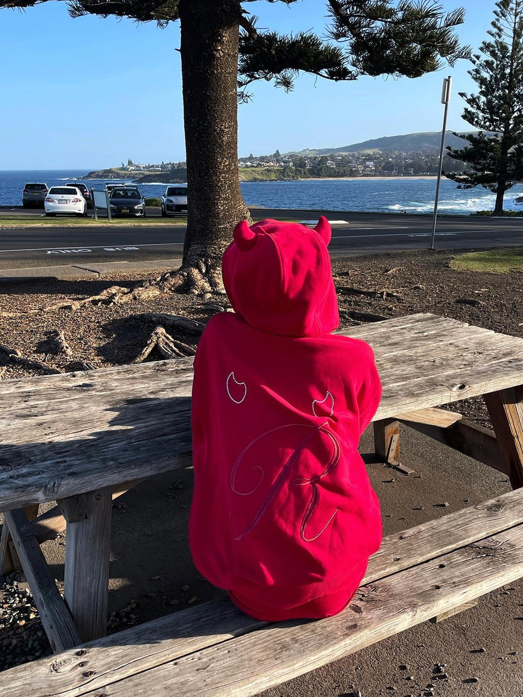 Rase le sol Red Devil Horn Rhinestone Embroidered Letter Hooded Women's Cotton Tracksuit Sets