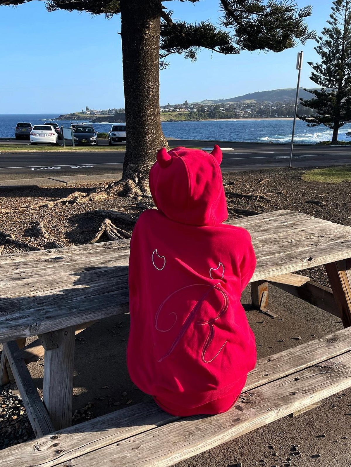 Rase le sol Red Devil Horn Rhinestone Embroidered Letter Hooded Women's Cotton Tracksuit Sets