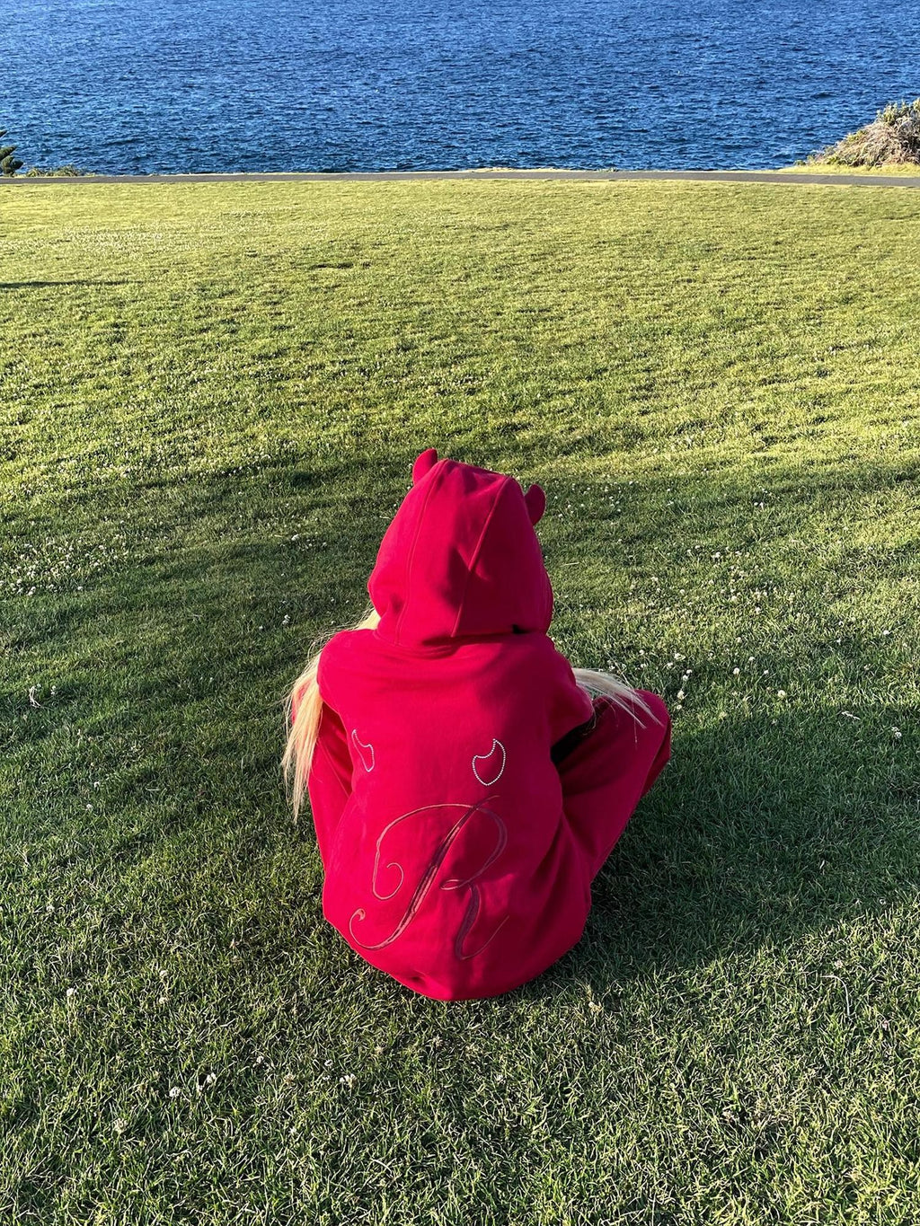 Rase le sol Red Devil Horn Rhinestone Embroidered Letter Hooded Women's Cotton Tracksuit Sets