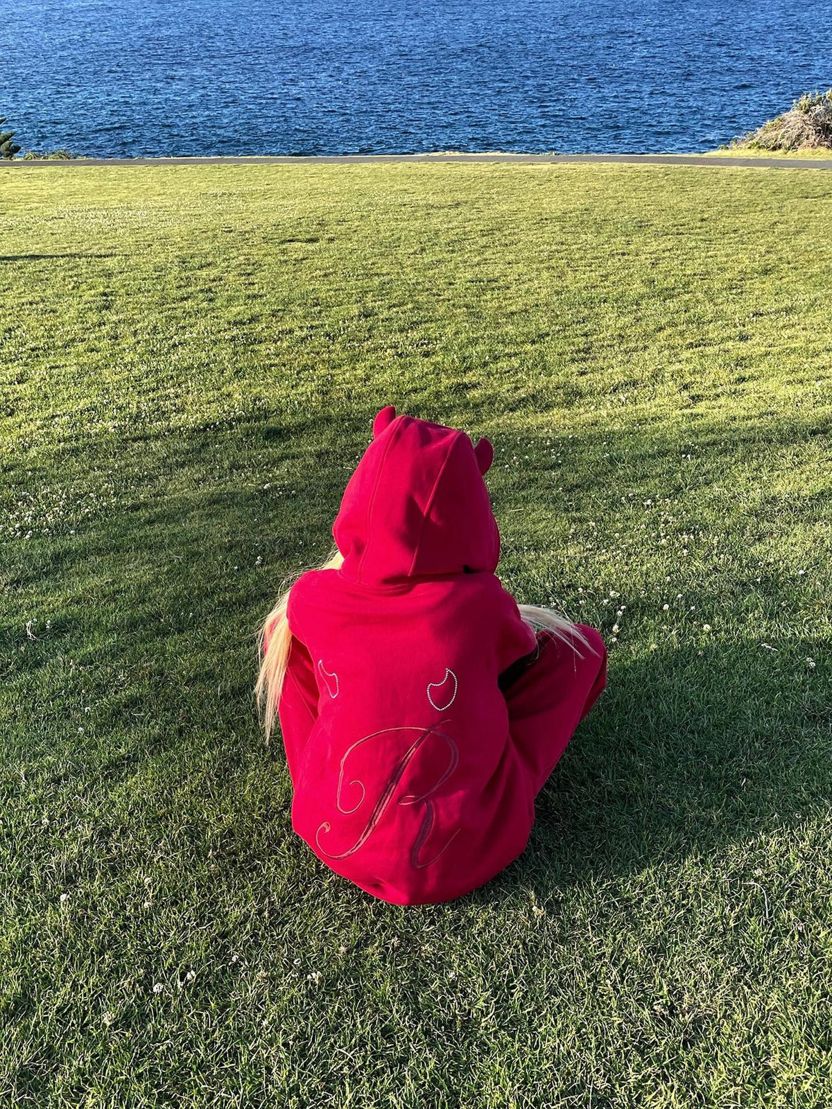 Rase le sol Red Devil Horn Rhinestone Embroidered Letter Hooded Women's Cotton Tracksuit Sets