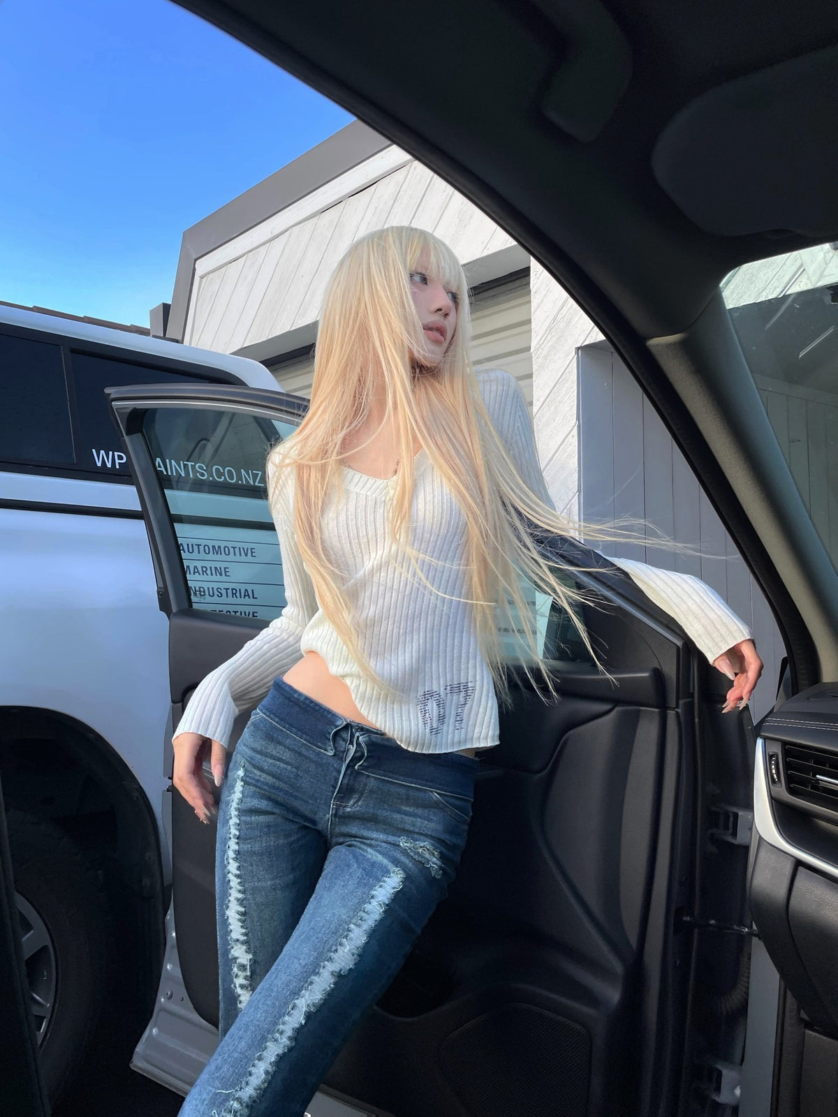 Rase_le_sol_Sheer_Printed_V-neck_Slim_Fit_Long_Sleeve_Women's_Knit_Sweaters_1069505314668_MISSTT