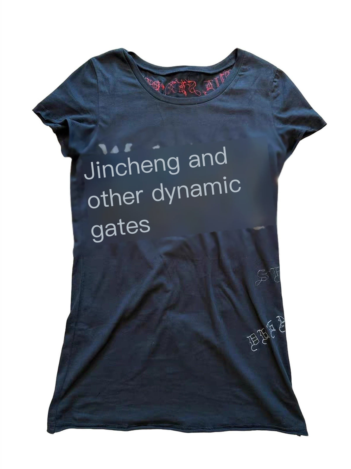THE_DAWN_Visual_Vintage_Magic_Embroidered_Washed_Women's_Short_Sleeve_T-shirts_1035297425728_MISSTT