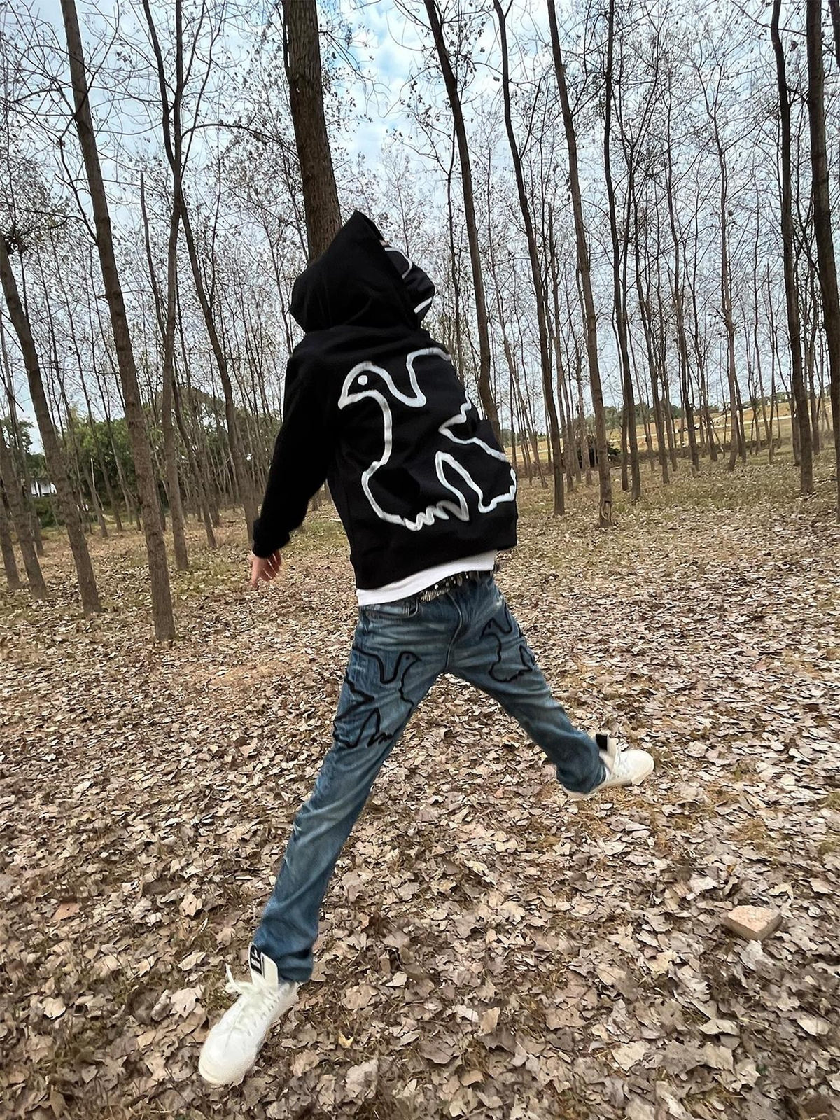 Vinkid Embroidered Dove Hand Painted Print Loose Cotton Women's Hoodies